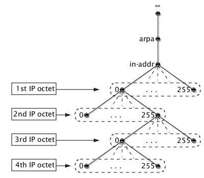 The in-addr.arpa domain